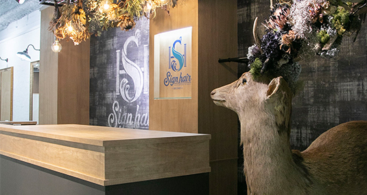 メインイメージ