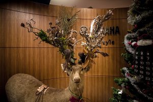 街クリ（すみやグッディ本店）